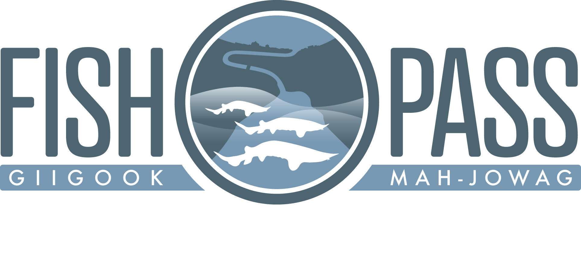 Team 16 Logo